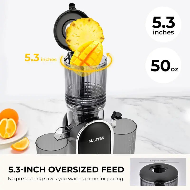 Cold Press Juicer with 5.3" Wide Feed Chute – High Juice Yield, Easy Clean, Whole Fruit Masticator Lisa Domen